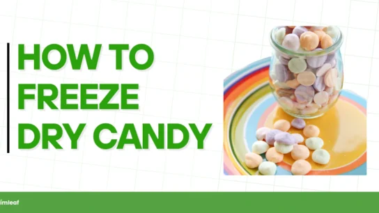 how to make freeze dried candy