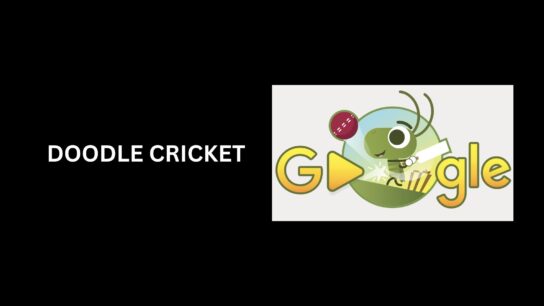 google doodle cricket