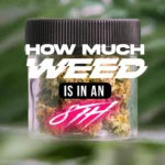 How Much Is an 8th of Weed? Your Simple Guide to Weed Pricing