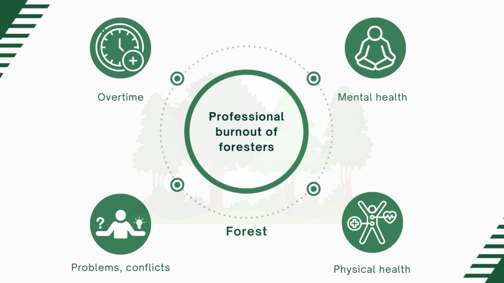 10 Questions for an Interview with a Local Forester: Essential Insights from an Expert